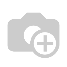car r2.webp