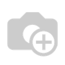 car r2.webp